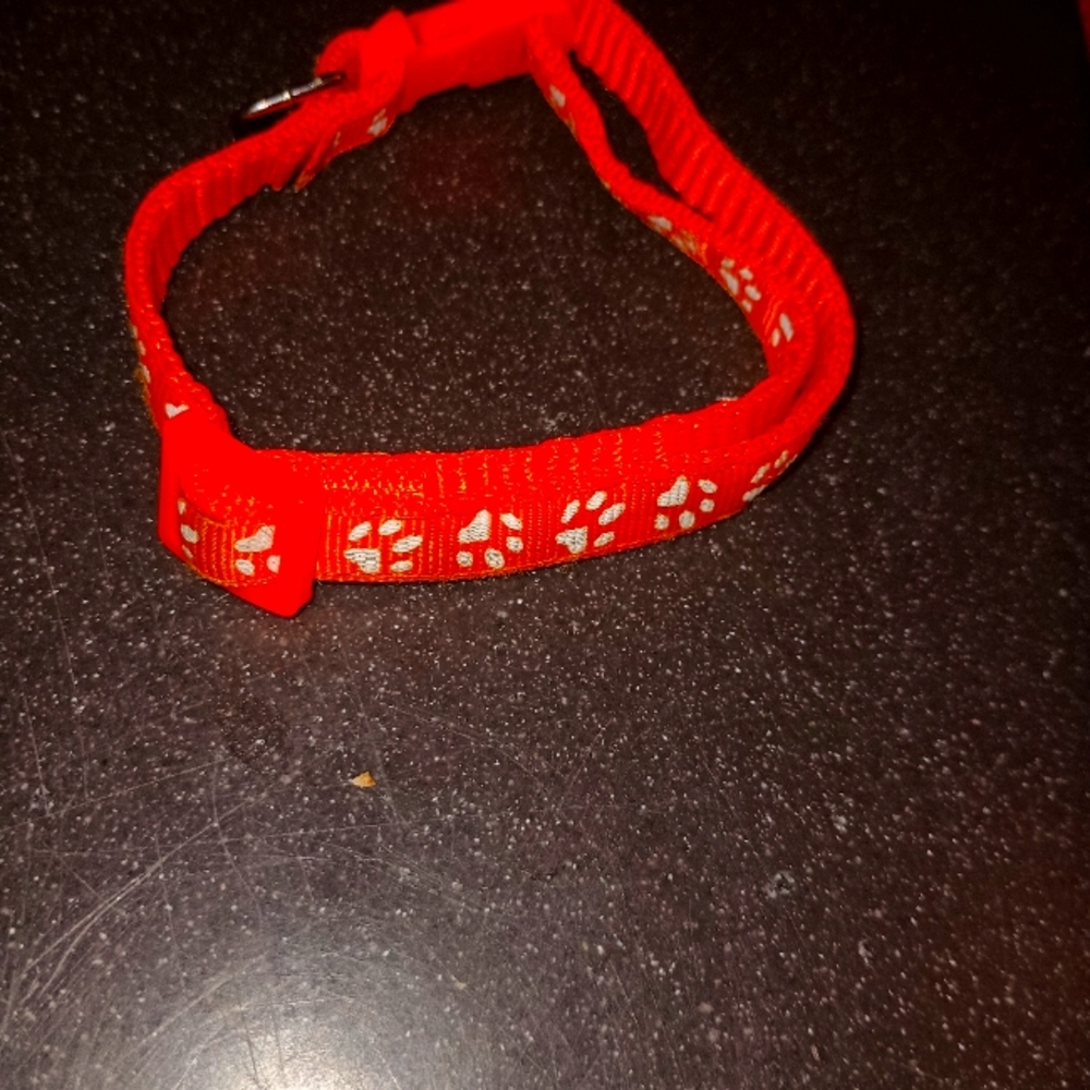 Leashes - Picture 6 of 15